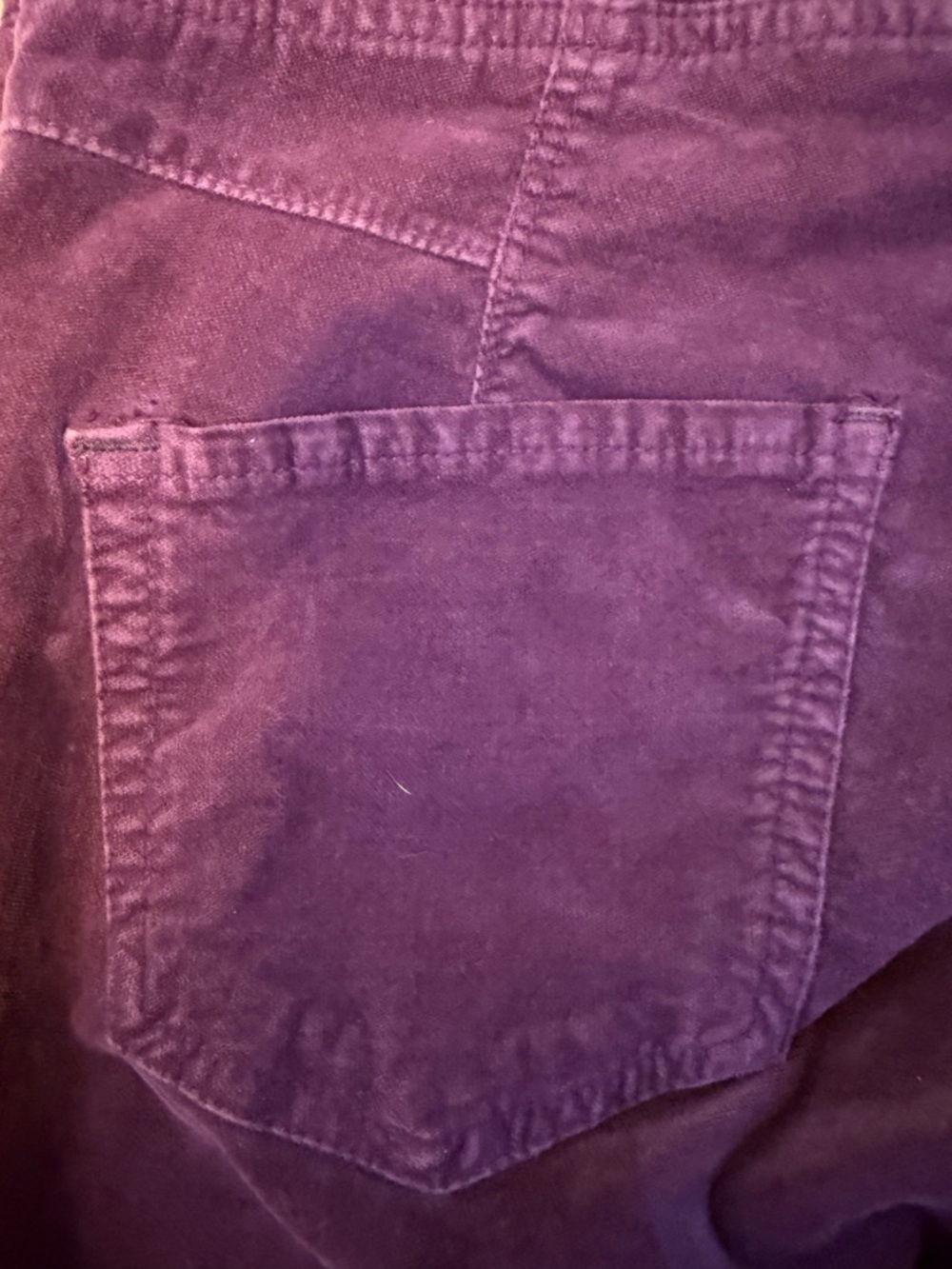 Free People Womens Wine Velvet Pants XS - Picture 8 of 10